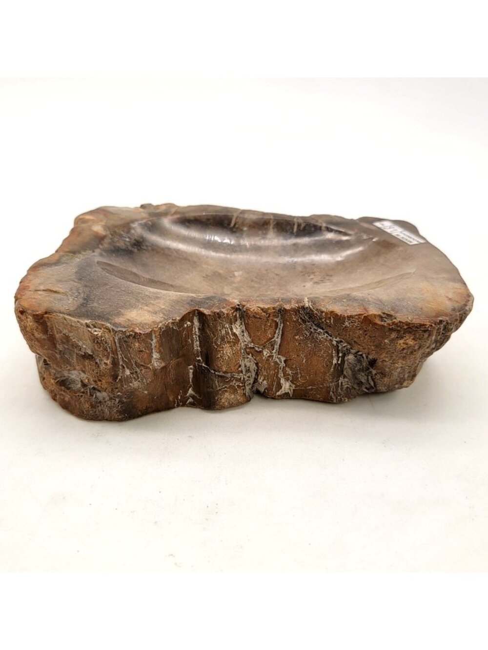 Large Polished Petrified Wood Fossil Bowl Dish